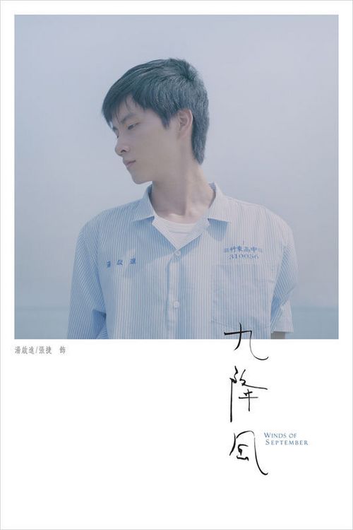 买个假的TEFL证书